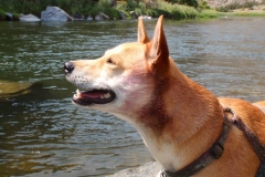 gunnison_duncan_1-3